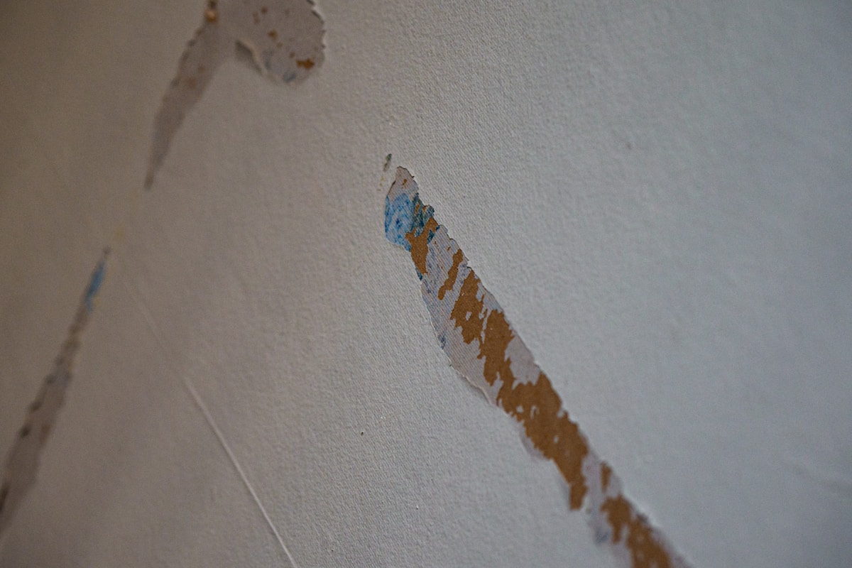 Structural Drying service in Clearwater, FL